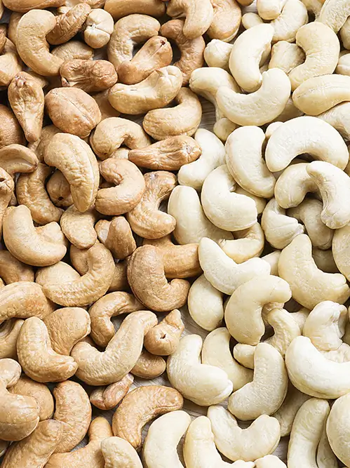 Fournisseur noix de cajou