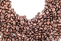 Grossiste café Robusta