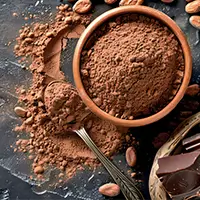 Vente en gros poudre de CACAO alcalinise