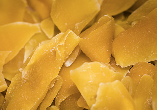 Importateur mangues sechées