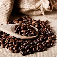 Vente en gros de café Robusta